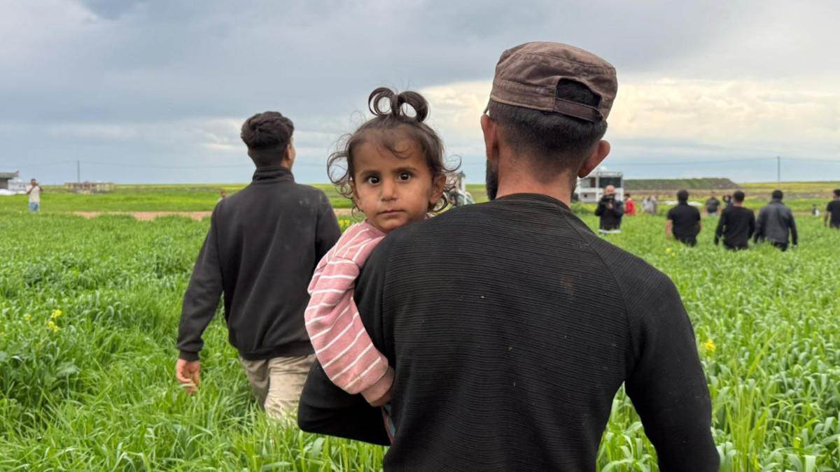 Diyarbakır'da kaybolan 3 yaşındaki Yazgül bulundu! Buğday tarlasında uyuyakalmış