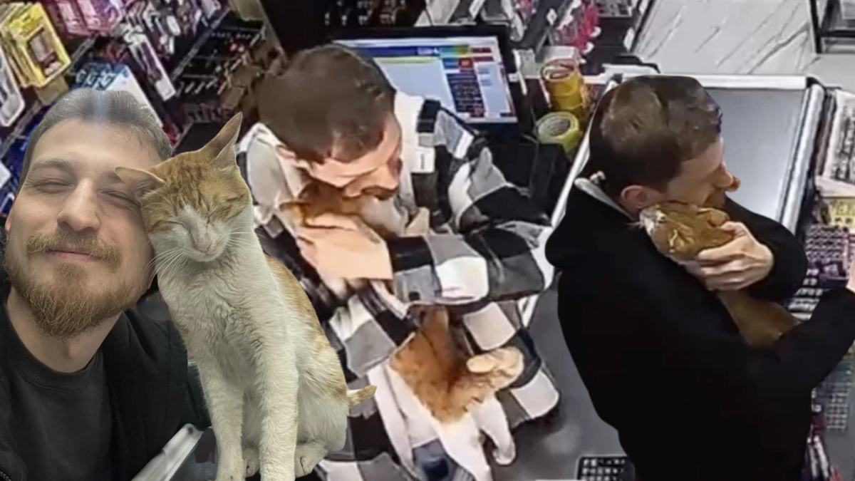 Rize’de görenleri gülümseten dostluk! Sahibine her gün sarılan kedi viral oldu