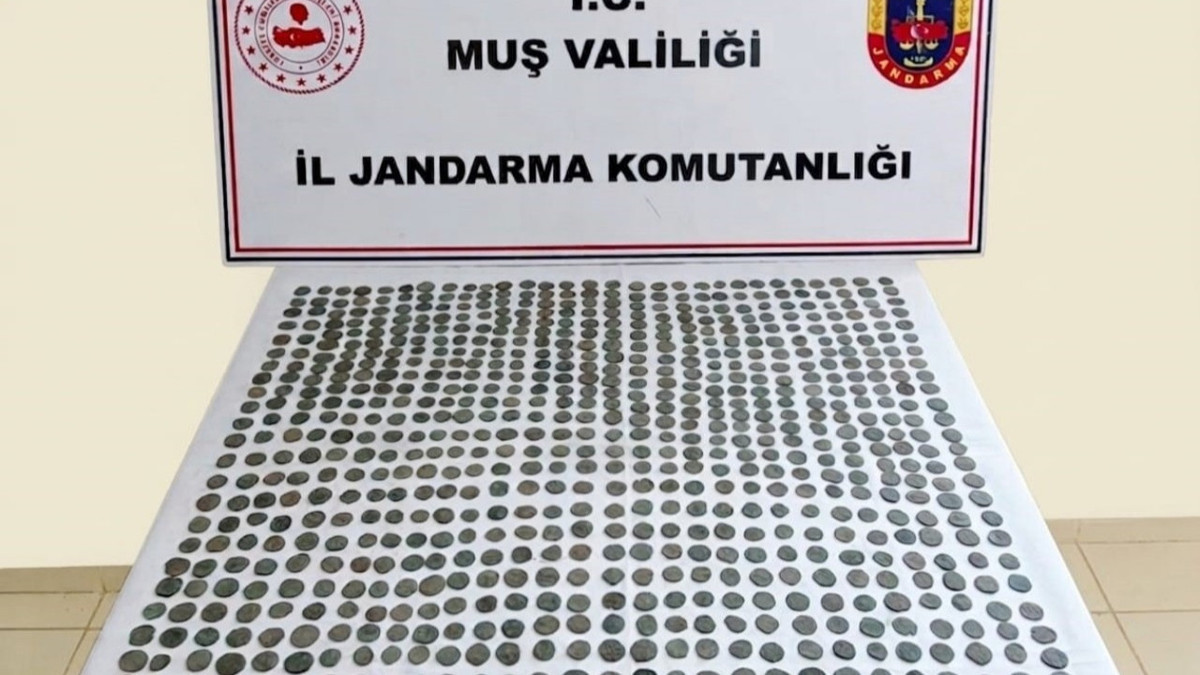 Muş'ta 749 adet tarihi sikke ele geçirildi
