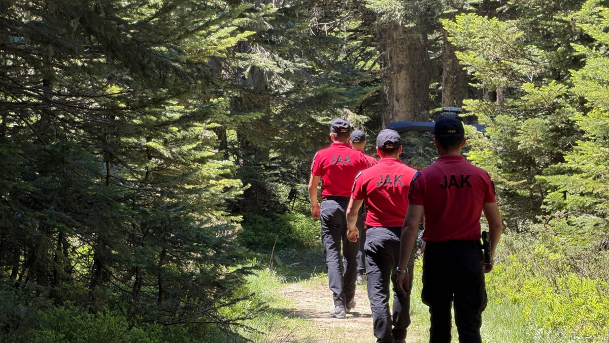 Bursa'da ormanlara girişler 15 Ekim'e kadar yasaklandı