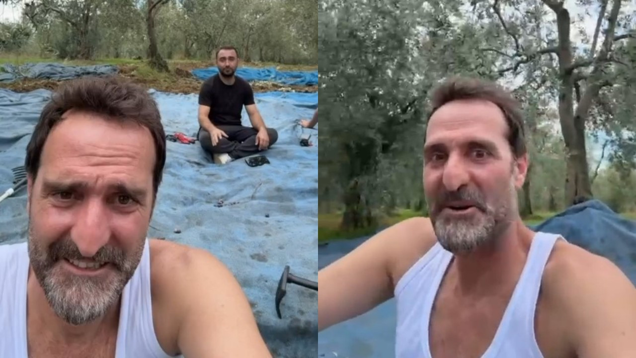 Çakallarla Dans’ın Köfte Necmi’si ilk zeytin hasadını yaptı