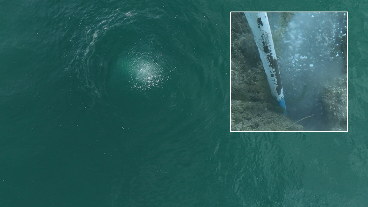 Sapanca Gölü neden kaynıyor? Uzmanlar bölgeye akın…