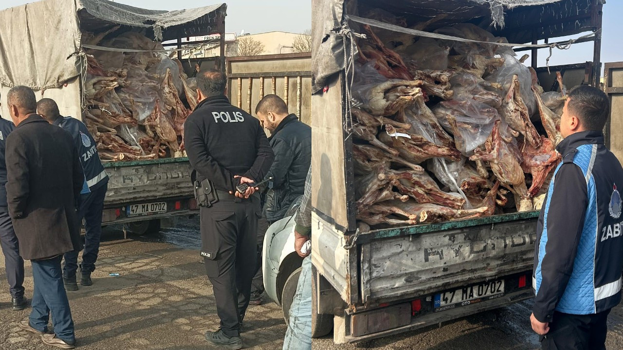 Gaziantep’te kamyonet kasasında kilolarca bozuk et ele geçirildi