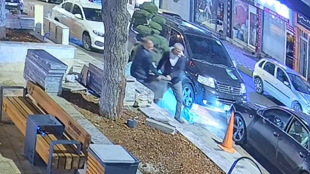 Parktaki ağacı çalıp kayıplara karıştılar