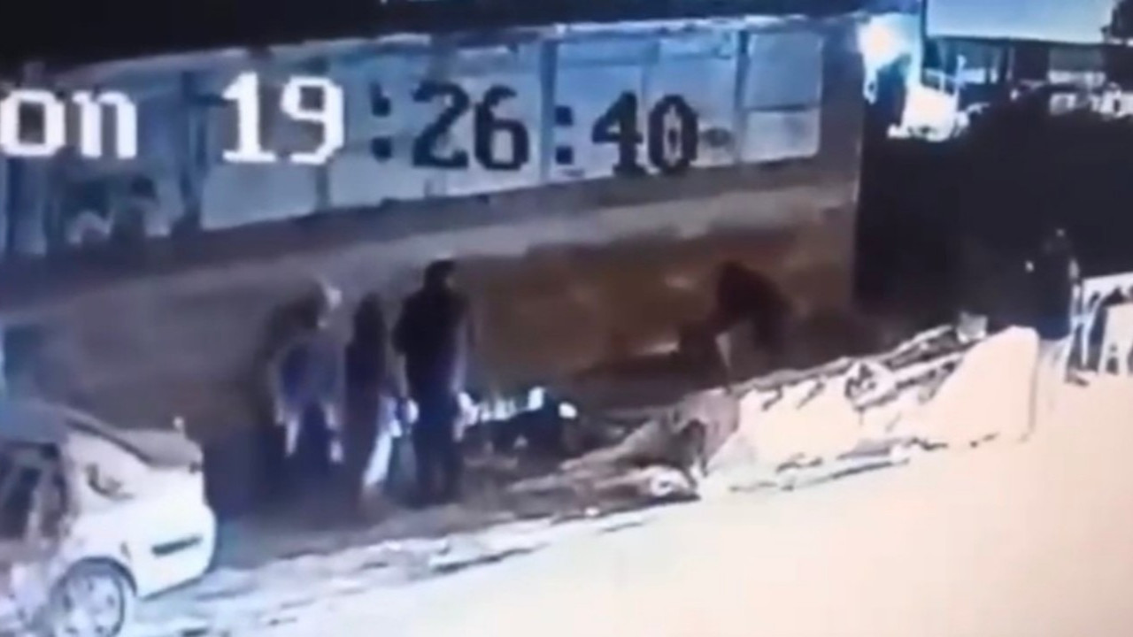 Başıboş köpek dehşeti: 3 kişi yaralandı