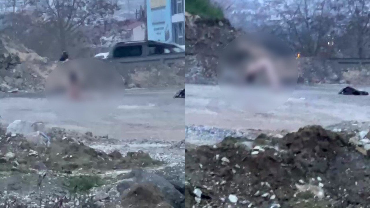 Köprü altında akıllara durgunluk veren görüntüler