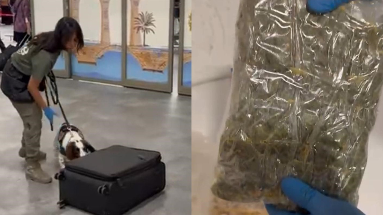 Uçakla gelen yolcunun valizindeki mısır gevreği kutularından uyuşturucu çıktı