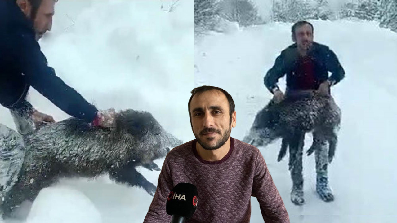 Yaban domuzunu çıplak elle yakalayan adam konuştu! Kamu spotu gibi açıklama