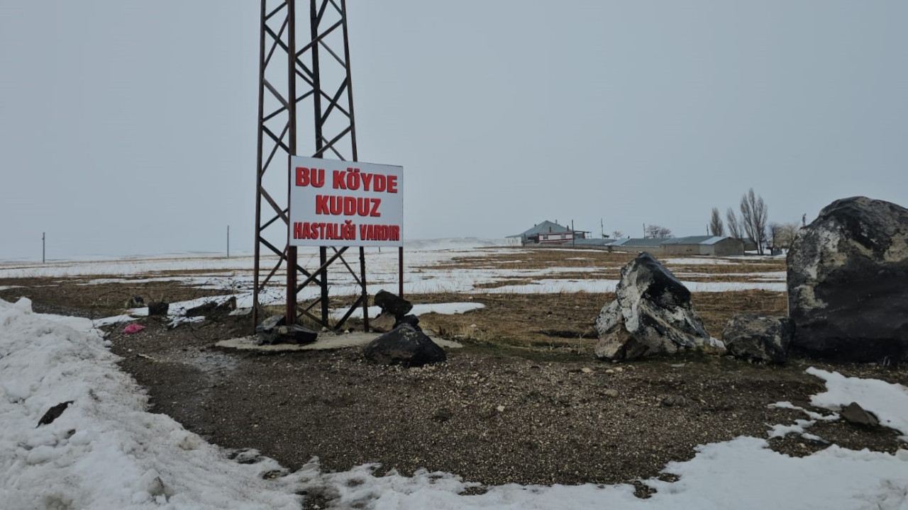 Bitlis'te bir ilçesinde kuduz alarmı: Bir köy karantinaya alındı