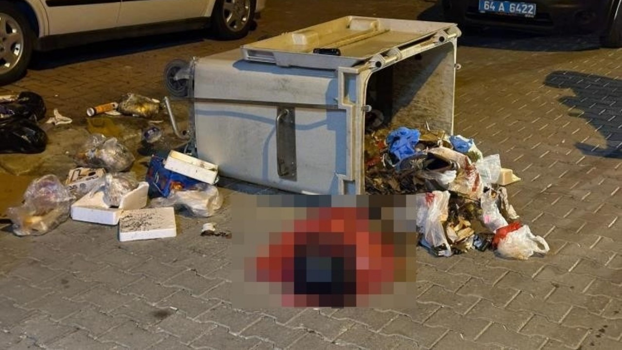 Çöp konteynerinde yeni doğmuş bebek cesedi bulundu