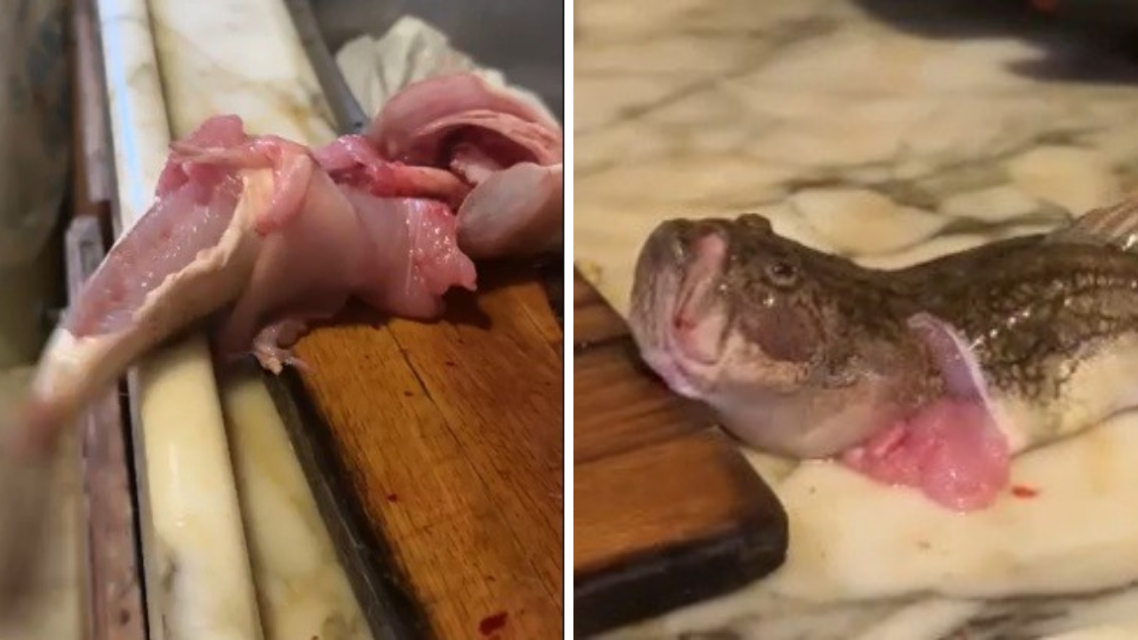 İçi temizlenen balık dakikalarca çırpınmaya devam etti