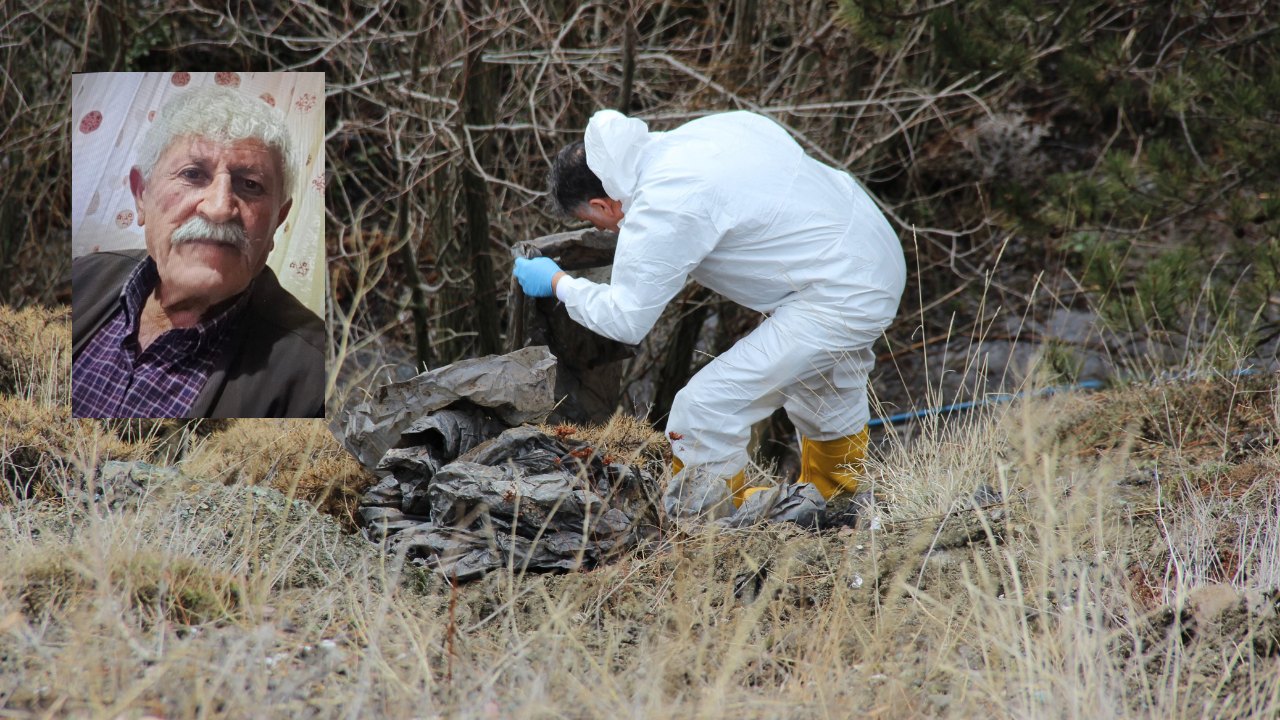 Çorum’da dehşet: Yaşlı adamın cesedi parçalanmış bulundu