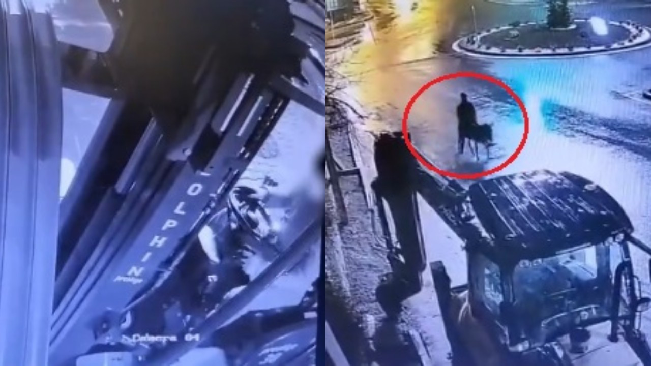 Forkliftle kuyumcu soyan hırsız eşekle kaçmış