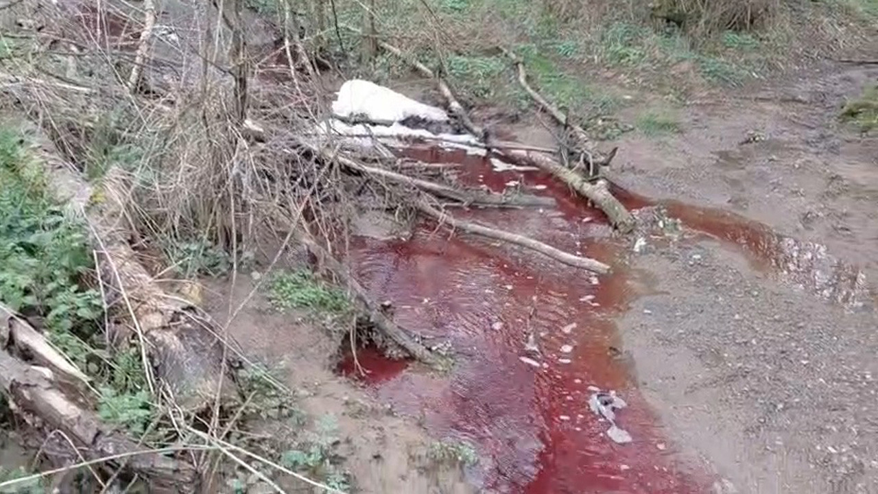 Ömerli Barajı’nda korkutan görüntü! Kırmızı ve köpüklü su alarm verdi