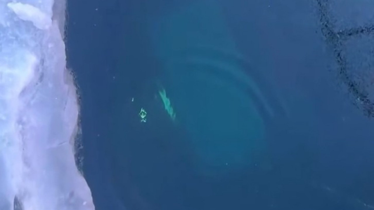 Rusya'da Baykal Gölü'nde tur aracı buzun içine düştü: 8 ölü