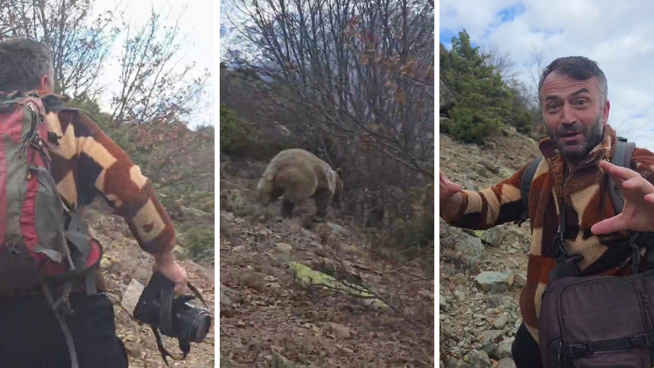 Kuş gözlemi kabusa döndü: Bozayı ile karşı karşıya geldi