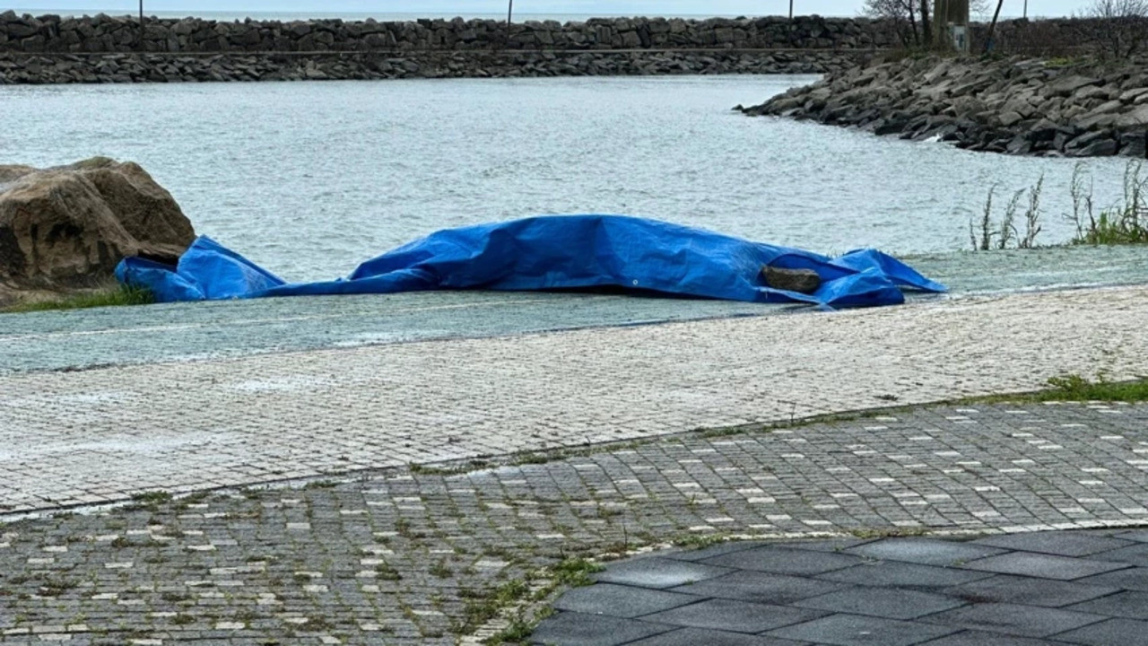 Ordu'da sahilde insansız araç bulundu