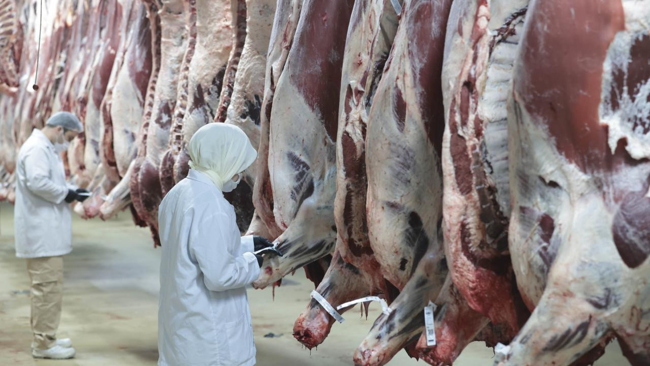 Ankara merkezli 8 ilde 'kırmızı et' operasyonu