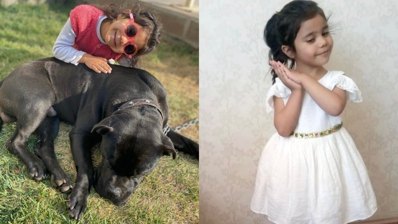 Gaziantep’te 4 yaşındaki Asiye Ateş’e pitbull saldırısı davasında karar