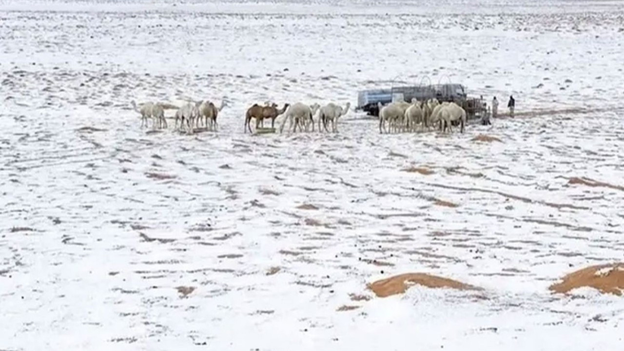 Suudi Arabistan'ın başkenti Riyad’da çöller doluyla beyaza büründü