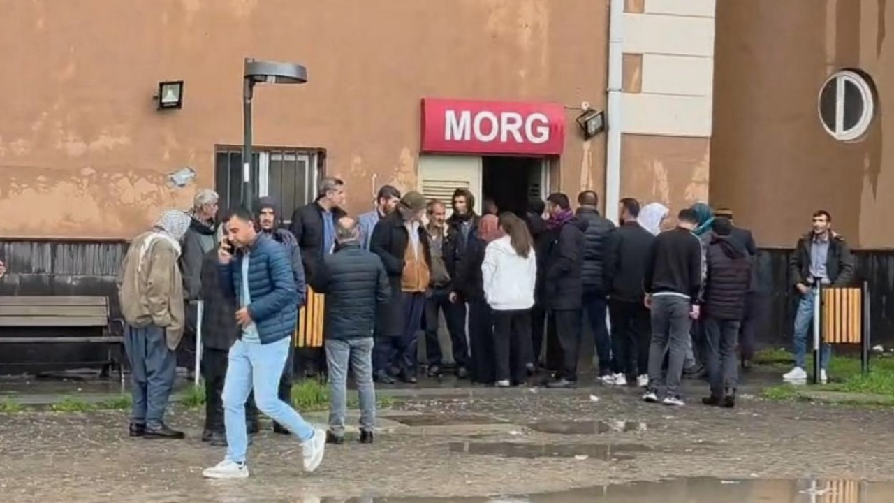 Diyarbakır'da ağaca yıldırım isabet etmesi sonucu 2 çocuk öldü, bir çocuk ağır yaralandı