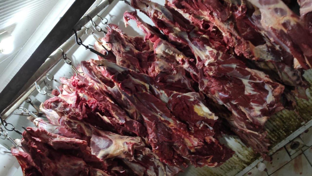 Aynı şehir, aynı skandal: Bakanlık Listesinde at ve eşek eti şoku