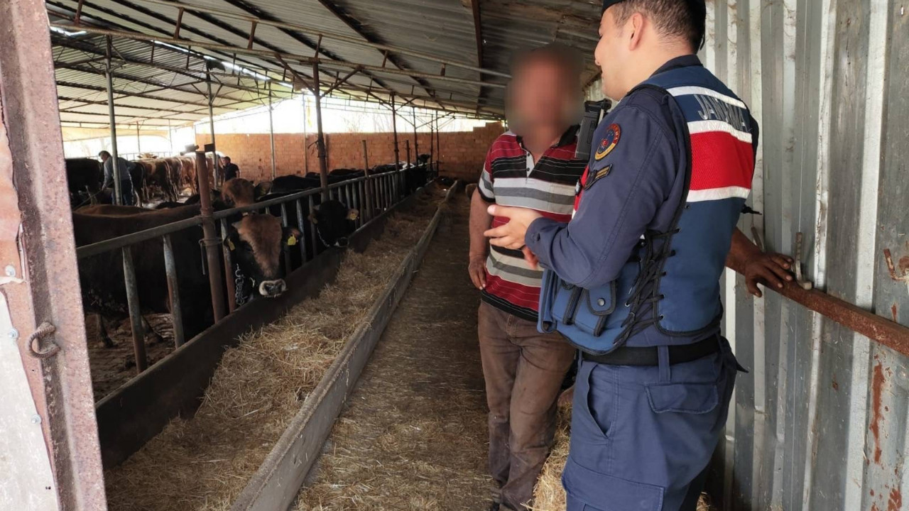 Eskişehir'de 1 milyon 940 bin TL sahte parayla 22 adet büyükbaş satın alan şüpheliler yakalandı