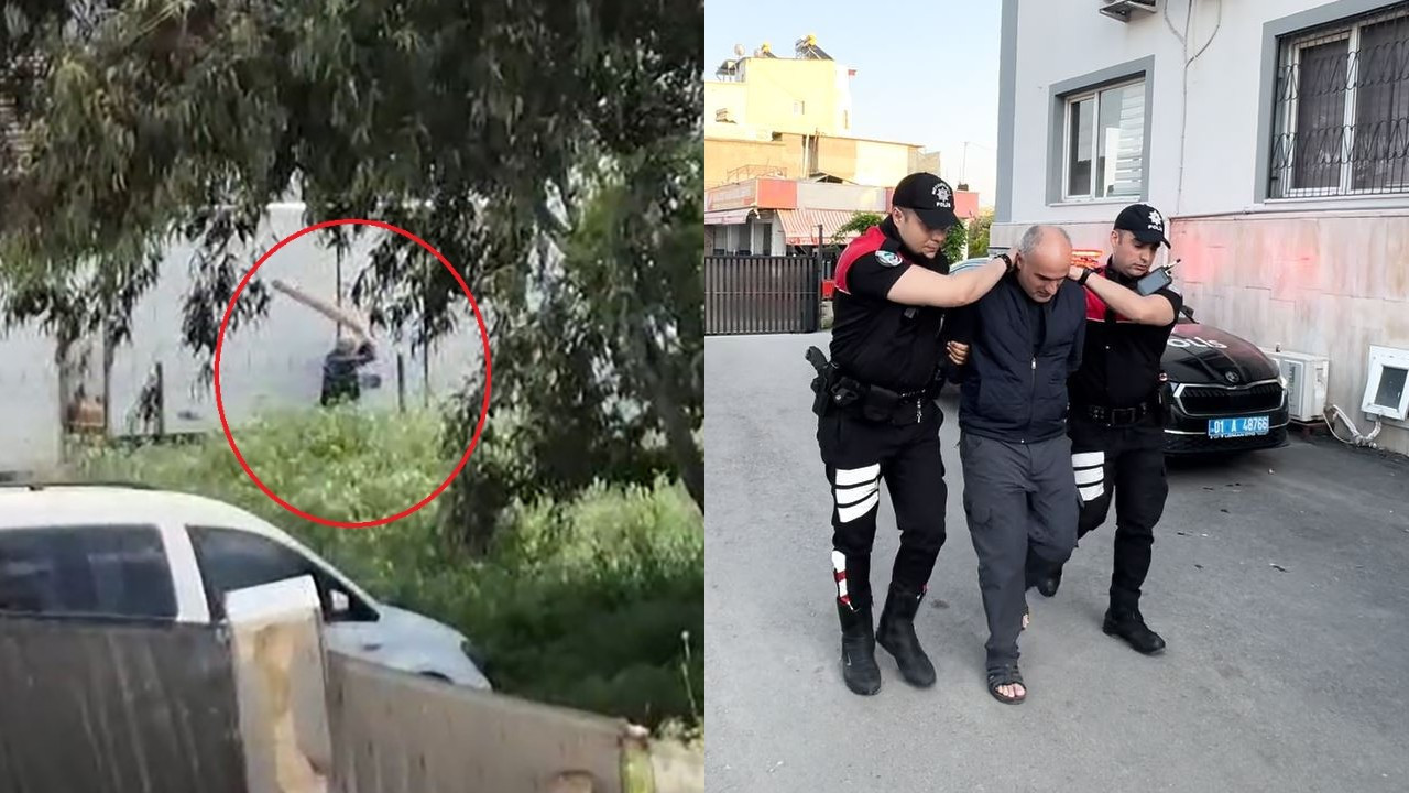 Tavuklarını yediği gerekçesiyle sokak köpeğini sopayla döven kişi gözaltında