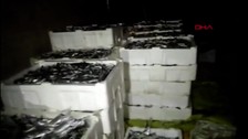 İstanbul'da küçük boy lüfer ve istavrit avcılarına ceza