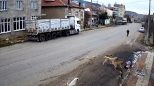 Konya'da korkunç olay! Sahipsiz köpeklerin saldırısına uğrayan kadın yaralandı