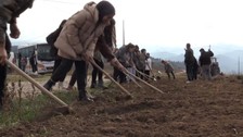 Tarım öğrencileri kendilerine tahsis edilen arazide üretim yapacak