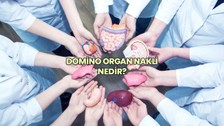 Domino organ nakli nedir?