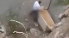 Köpeğe tecavüz eden şahsın cezası belli oldu, savunmasına inanamayacaksınız