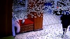 Kendi halindeki kediye tekme attı
