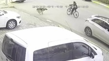 İzmir’de köpekten kaçan çocuğa otomobil çarptı!