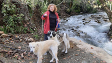 Muğla'da vahşet! Gezdirmeye çıkardığı köpeği silahla vurularak öldürüldü