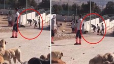 Konya'daki vahşet herkesi ayağa kaldırmıştı! Köpeklere kürekle vuran Murat Bacak ve Sefa Çakmak'ın cezaları belli oldu