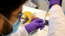 Kovid-19 DNA aşısında insan deneyi aşamasına gelindi! Ege Üniversitesi'nde çalışan bilim insanları açıkladı...