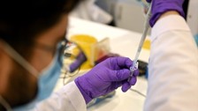 Kovid-19 DNA aşısında insan deneyi aşamasına gelindi! Ege Üniversitesi'nde çalışan bilim insanları açıkladı...