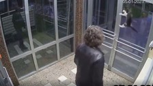 İstanbul Küçükçekmece'de sokak hayvanlarını dövüp, mamalarına çamaşır suyu kattı