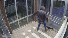 Kedi düşmanı cani ile ilgili yeni gelişme! Savcılıktan sevindiren karar