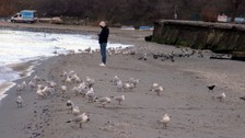 Kahramanmaraş depreminin ardından gözler İstanbul'a çevrilmişti! Avcılar'da denizin 15 metre çekilmesi herkesi korkuttu