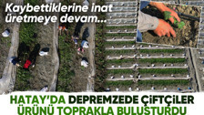 Deprem bölgesi Hatay'da çiftçiler, üretime geçmeye başladı