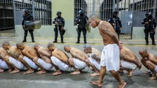 Dünya bu görüntüleri konuşuyor: El Salvador'da 2 bin çete üyesi başka hapishaneye böyle nakledildi