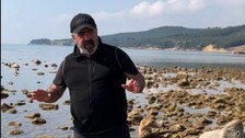 Kahramanmaraş depreminin ardından Ege Denizi'nde meydana gelen depremin ardından korkutan görüntü: Deniz suyu metrelerce çekildi
