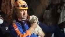 25 gün sonra enkaz altından bir köpek sağ olarak kurtarıldı