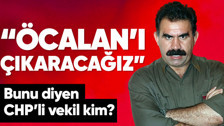 CHP seçimi kazanırsa Öcalan'ı serbest bırakacak mı?