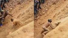 Kongo'da altın madencileri göçük altında kaldı! Arkadaşlarını kurtarmak için elleriyle toprağı kazan madenciler viral oldu