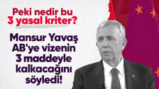 Mansur Yavaş AB'ye vizenin 3 maddeyle kalkacağını söyledi! Peki nedir bu 3 yasal kriter?