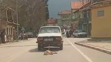 Denizli'de bir kişi otomobilin arkasına bağladığı köpeği sürükleyerek öldürdü